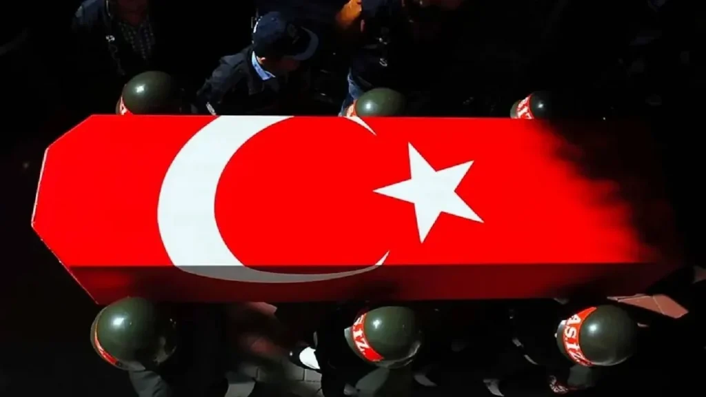 cGjApvfAYAIuBflKslTCJvMLKtn4e14ffl0SI1sE_1200
